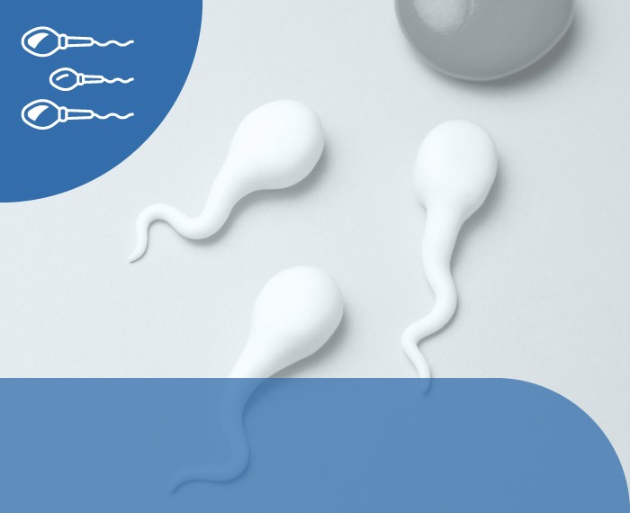 PACCHETTO FERTILITÀ UOMO