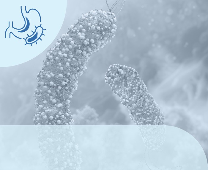 BREATH TEST HELICOBACTER PYLORI (UREA BREATH TEST) (DOMICILIO)